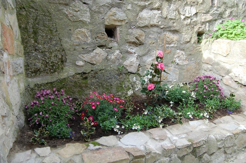 Emily House Hotel Montecerboli Exterior photo